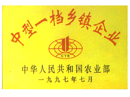 中型一档乡镇企业
